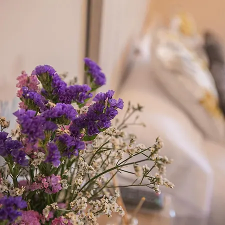 Lobre Guest house O Pedrouzo